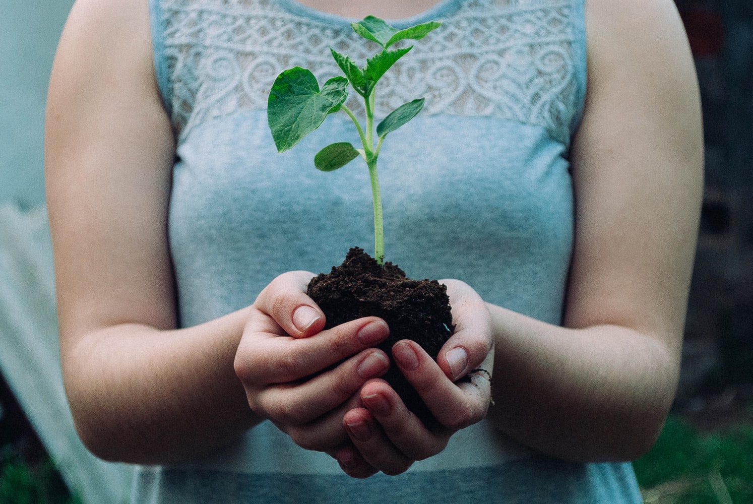 How will we save the planet?